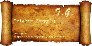 Trieber Gergely névjegykártya